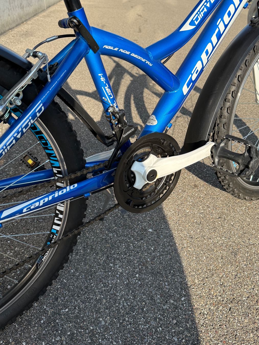 Velos: Capriolo DIAVOLO Velo – Gebraucht aus Zürich von Stutzv 4