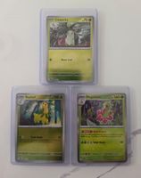 Pokémon Karten Chikorita Bayleef Meganium ENG