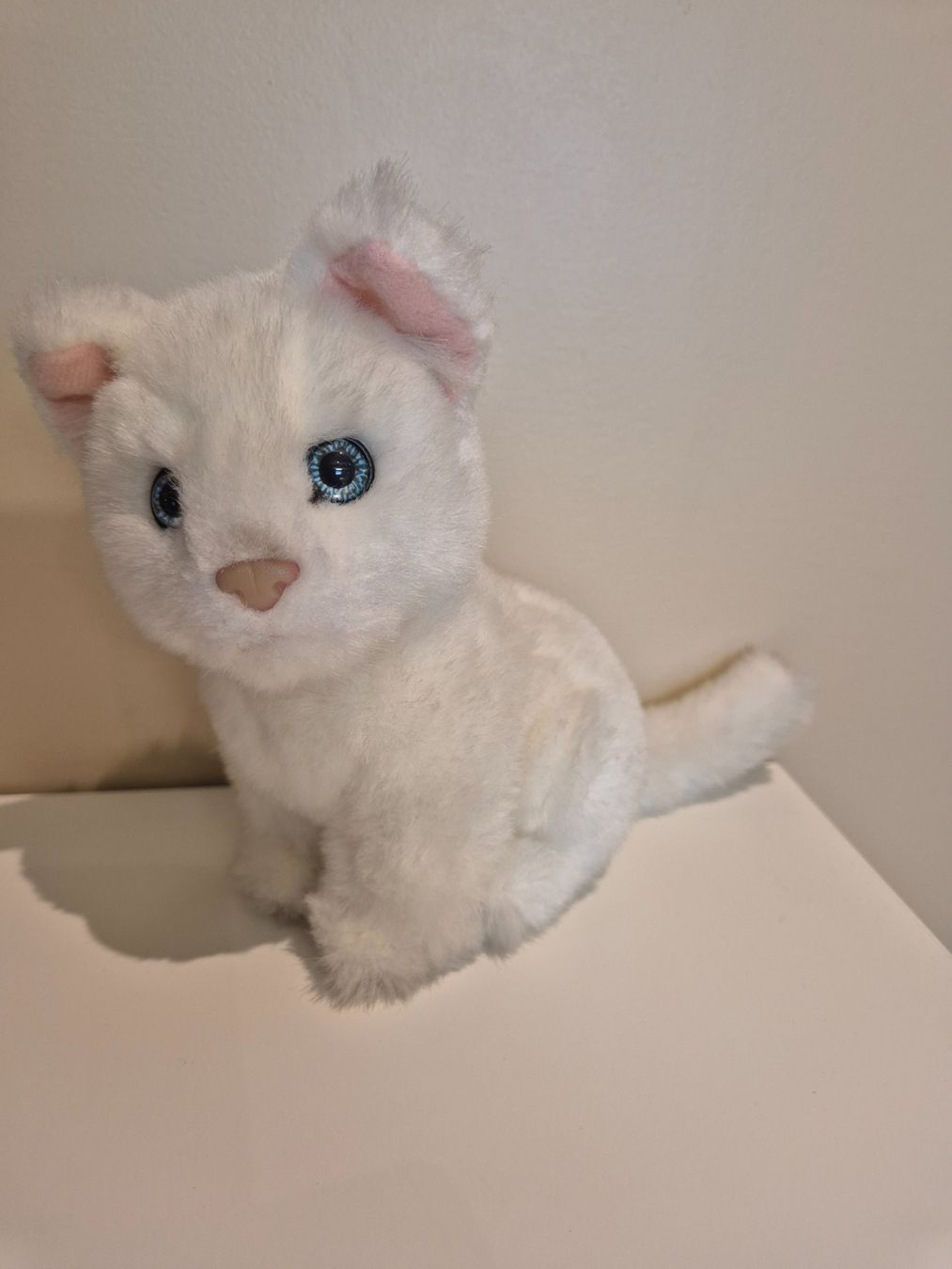 Jouets: Plüschtier Büsi weiss – Neuf (Voir description) à Dietikon par grafad
