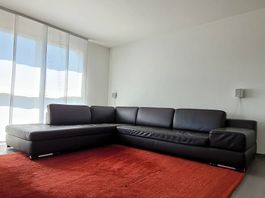 Leder-Ecksofa