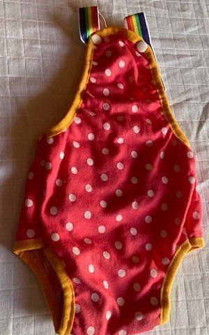 Secchi per pannolini & Pannolini: Hunde Höschen Gr. XL – Nuovo e nell'imballaggio originale da Matt venduto da Westigruppe