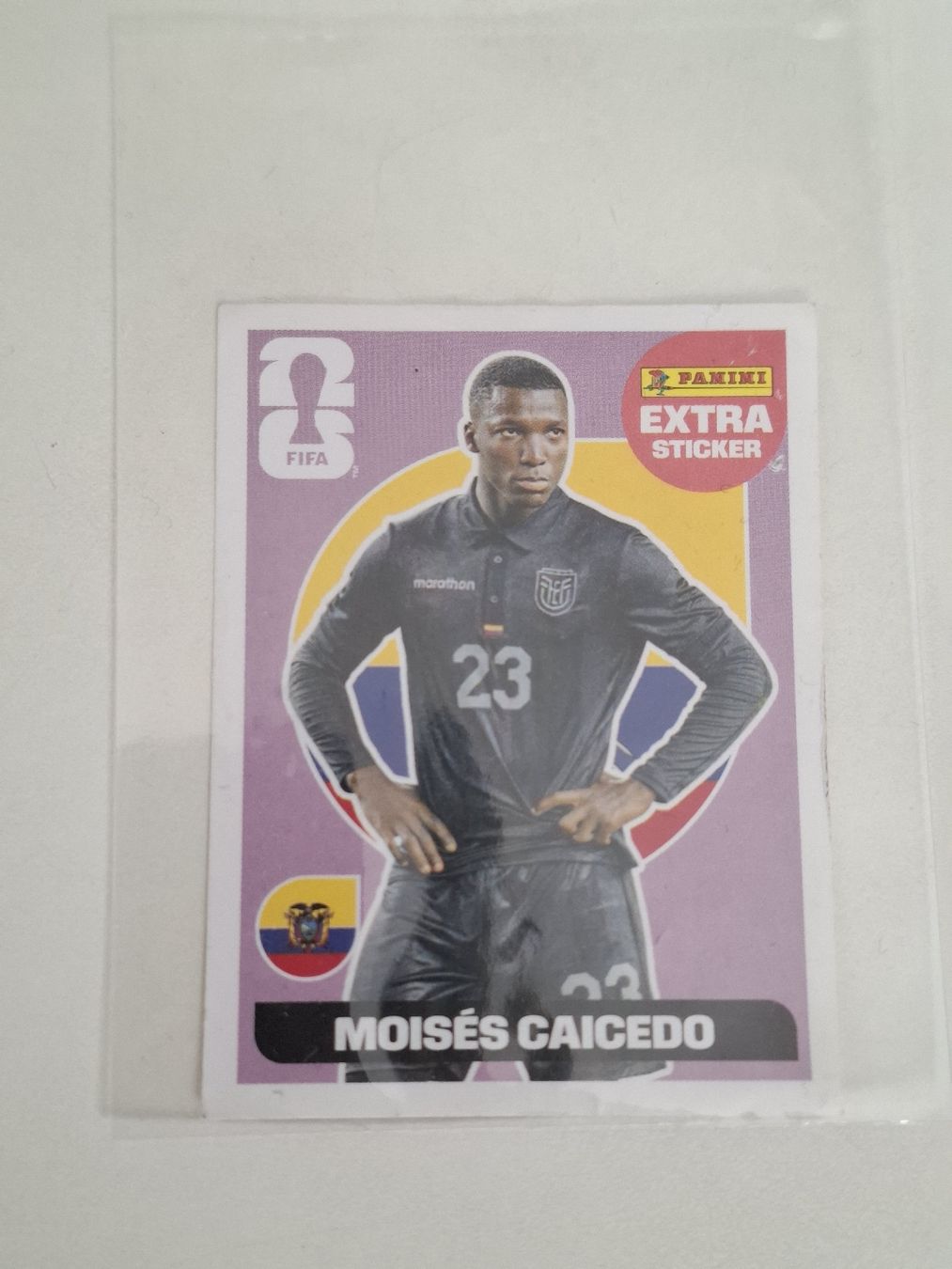 Panini Cartes à collectionner: Panini FIFA Extra Sticker M. Caicedo – D'occasion à Gossau ZH par herrerra.25 2