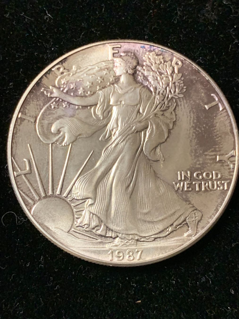 Tutti le monete: 1 Unze Silber American Eagle 1987 – Nuovo (secondo la descrizione) da Therwil venduto da Zelle13