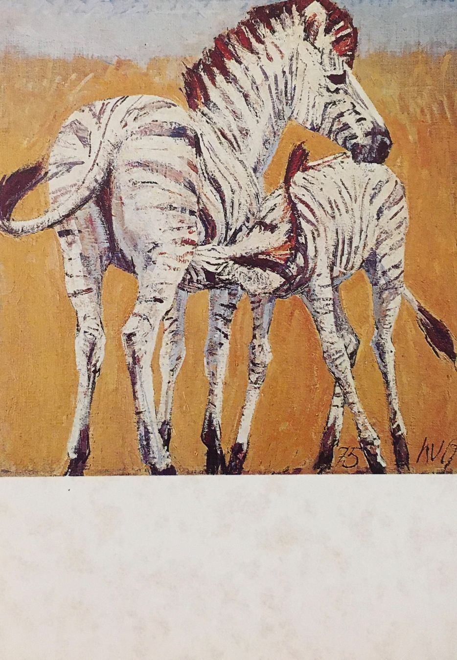 Cartes postales: Fritz Hug, Zebra – D'occasion à Frauenfeld par Merk52