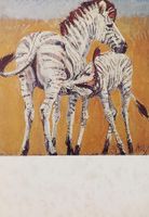 Fritz Hug, Zebra