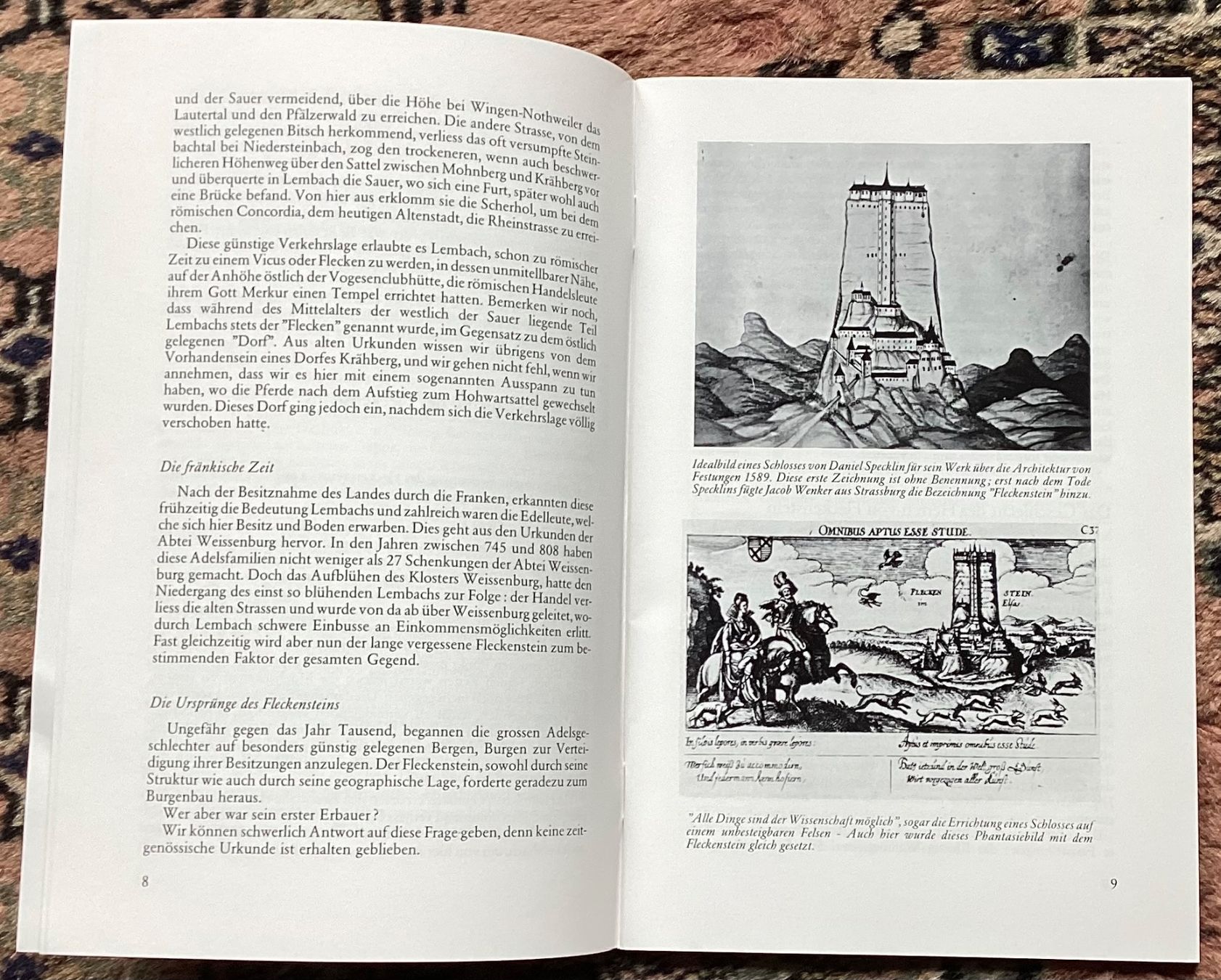 Libri: Burg Fleckenstein – Usato da Reinach BL venduto da Linda013 5