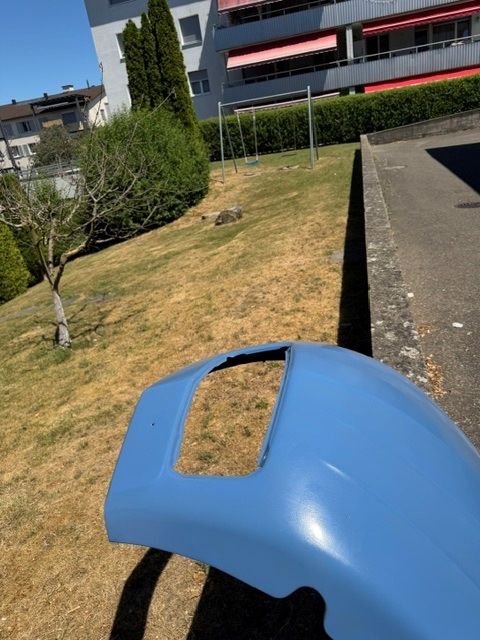 Citroën Toutes les pièces auto: Citroën 2CV Motorhaube – D'occasion à Grub SG par Soerjebreske 2