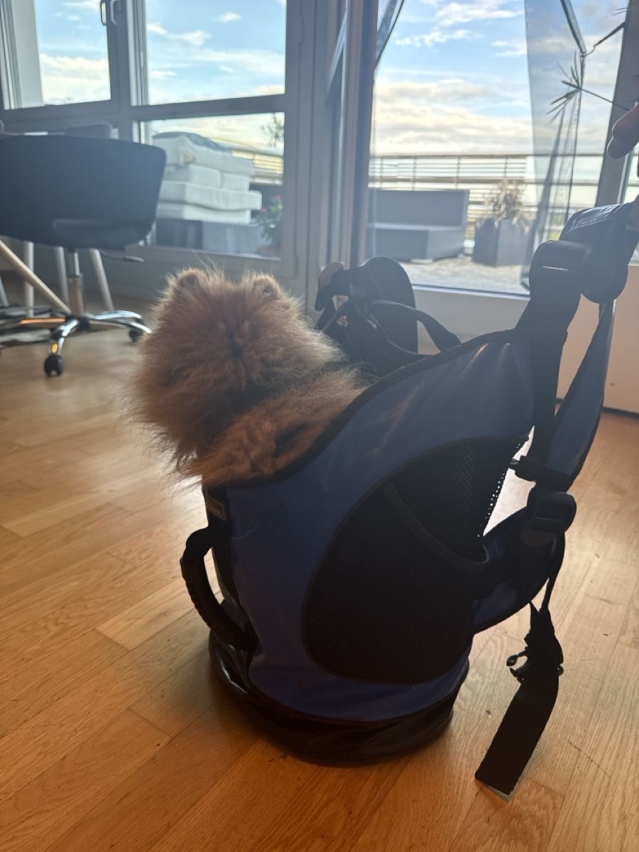 Hunter Zaini: Hunter Tasche blau gebraucht Grösse M – Usato da Dietikon venduto da DerKaiser 1