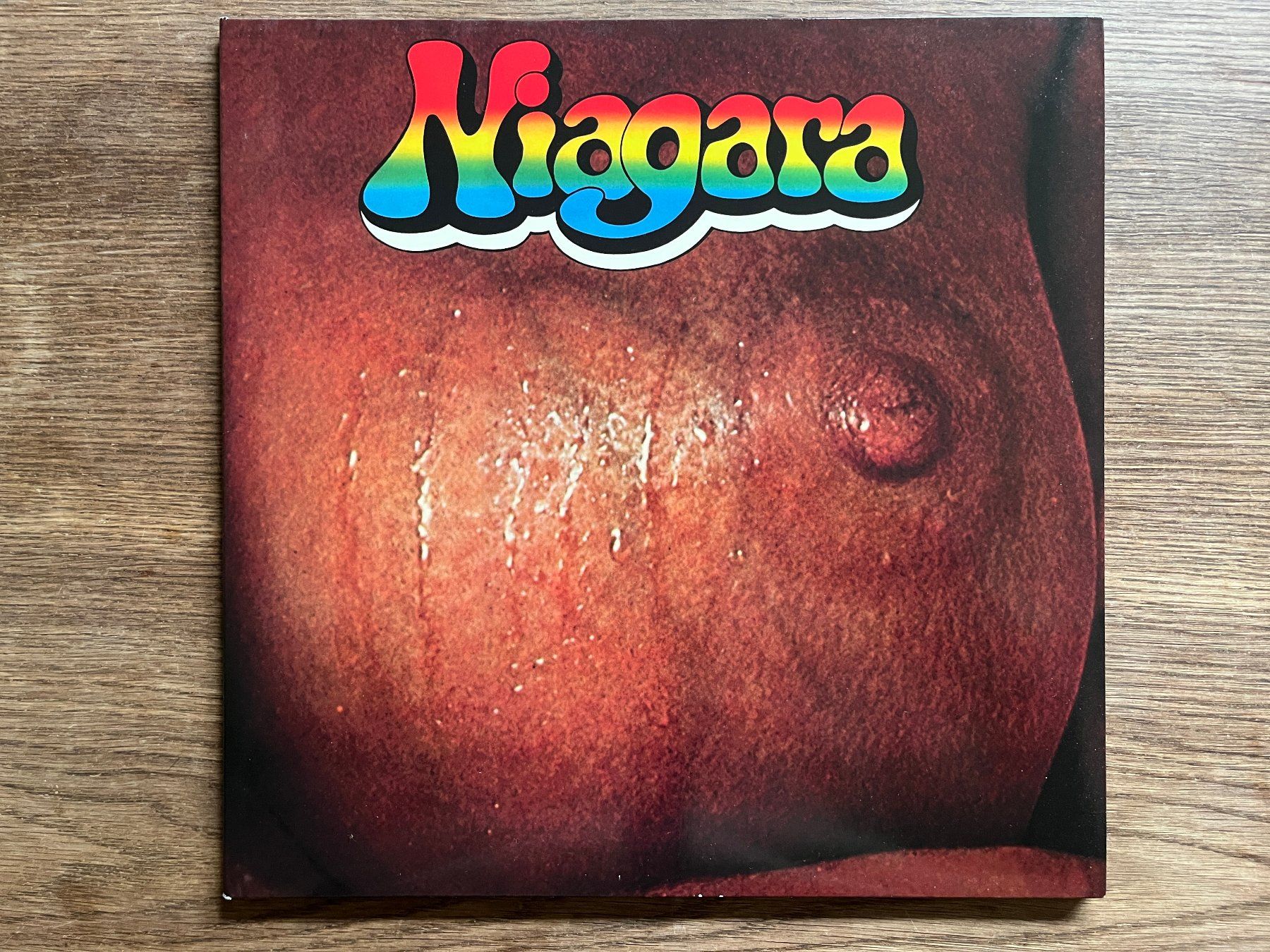 Dischi in vinile: Niagara – Niagara 1971 – Usato da Zürich venduto da Nieverge1