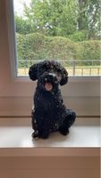 Hundfigur schwarz Dekoration