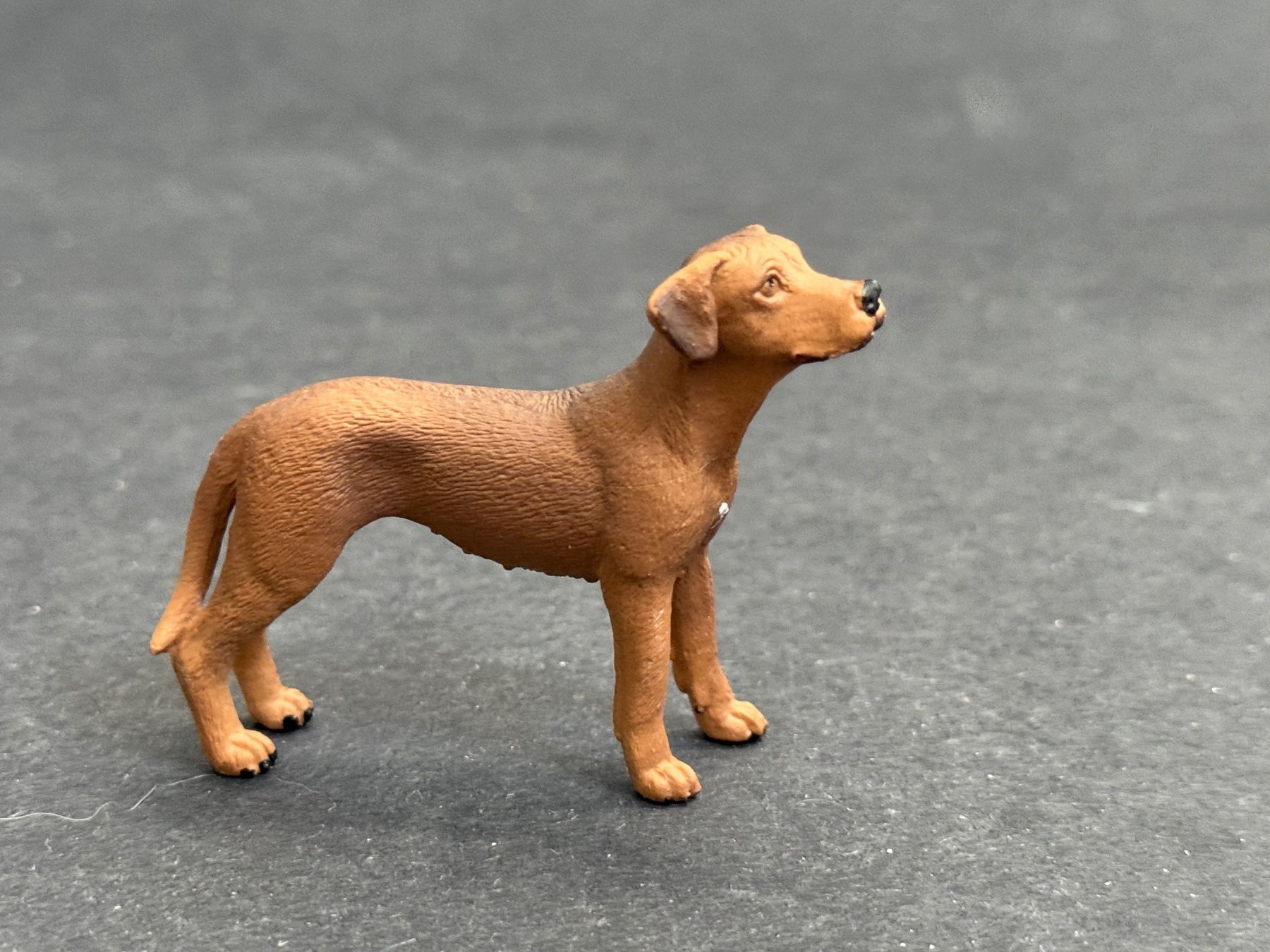 Schleich Figuren: Schleich Rhodesian Ridgeback Hund – Neu (gemäss Beschreibung) aus Ennetbaden von mapa05 1