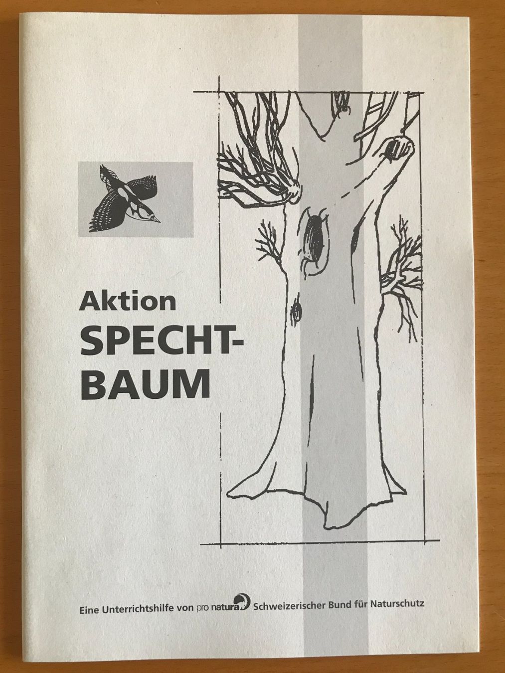 Libri: Aktion Spechtbaum - Unterrichtshilfe – Usato da Luzern venduto da mey_s13