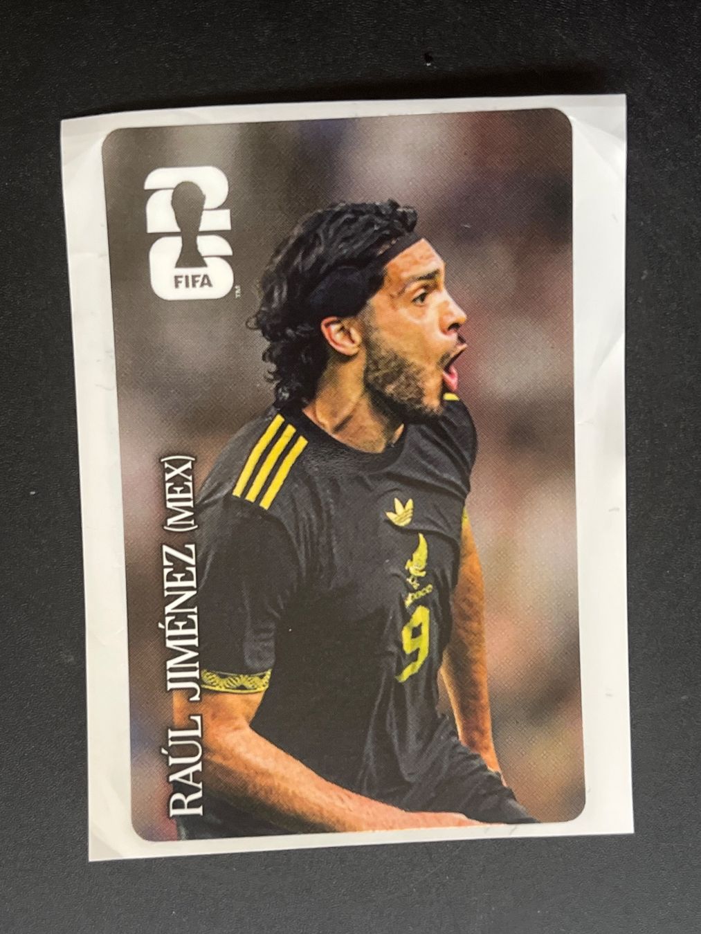 Panini Carte collezionabili: Panini RAÚL JIMÉNEZ (MEX) – Nuovo (secondo la descrizione) da Susten venduto da Rechnun