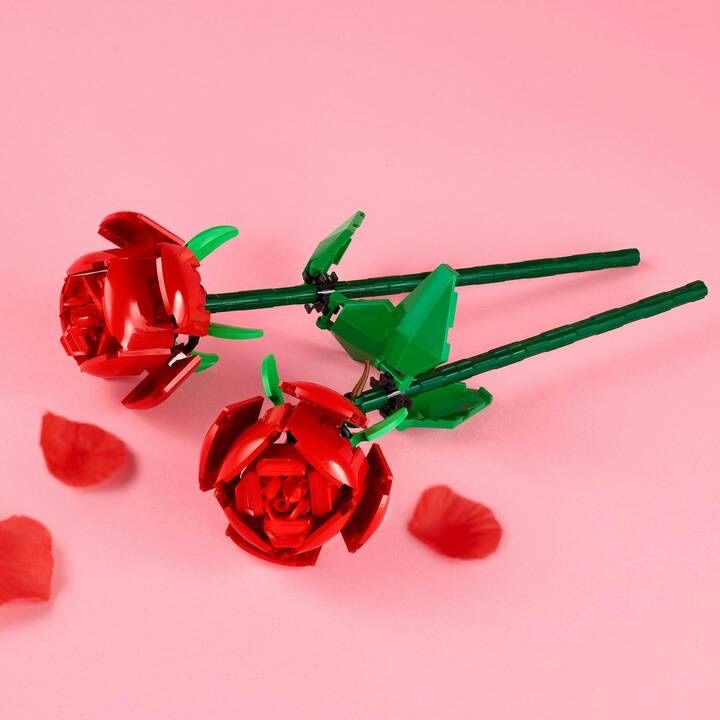 Lego Kit di costruzioni: LEGO Botanicals Rosen – Usato da Uster venduto da g21_d9lv 1