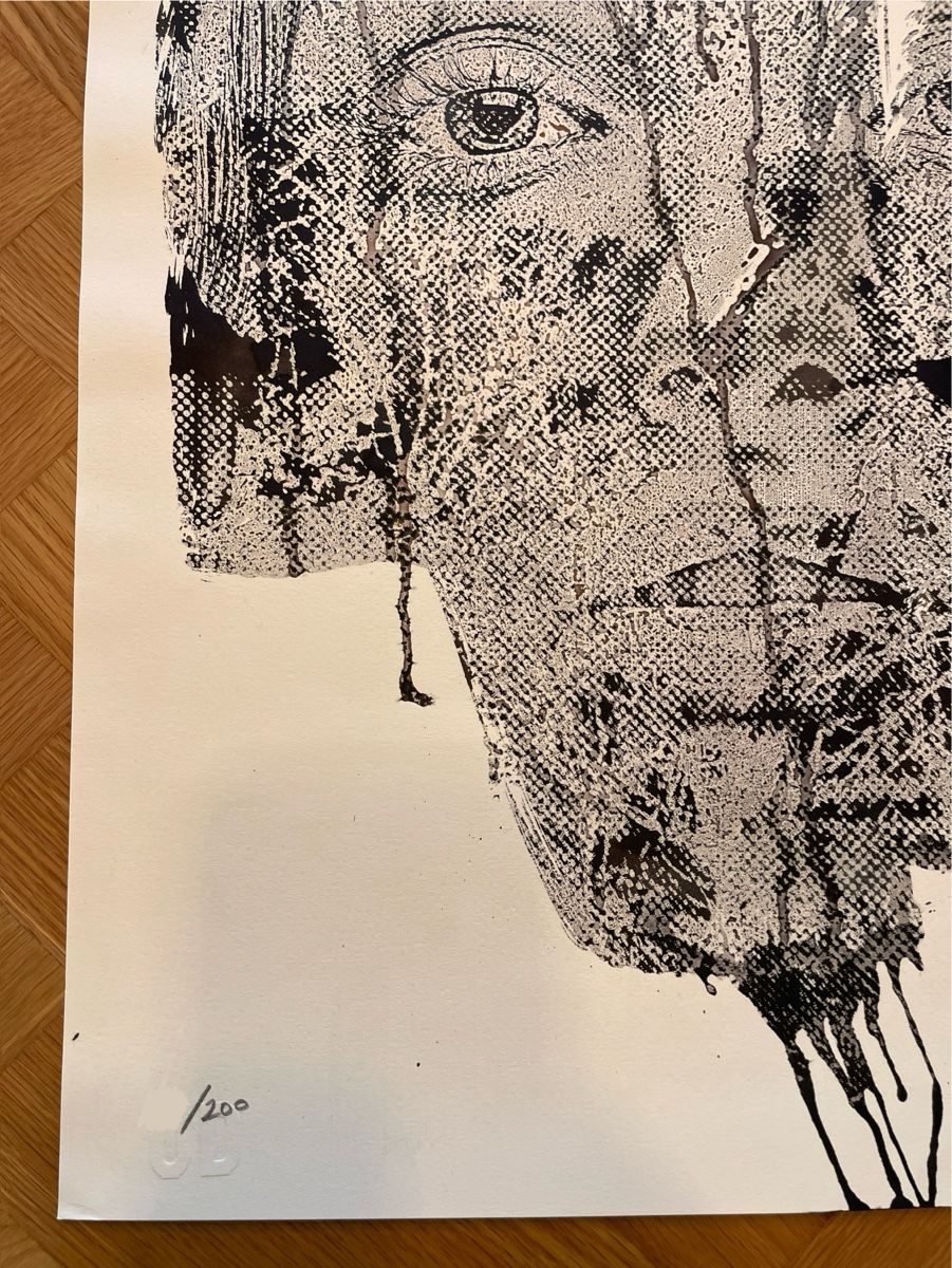 Grafica & Litografie: Vhils - Street Art – Nuovo e nell'imballaggio originale da La Tour-de-Trême venduto da ArtEnVue 4
