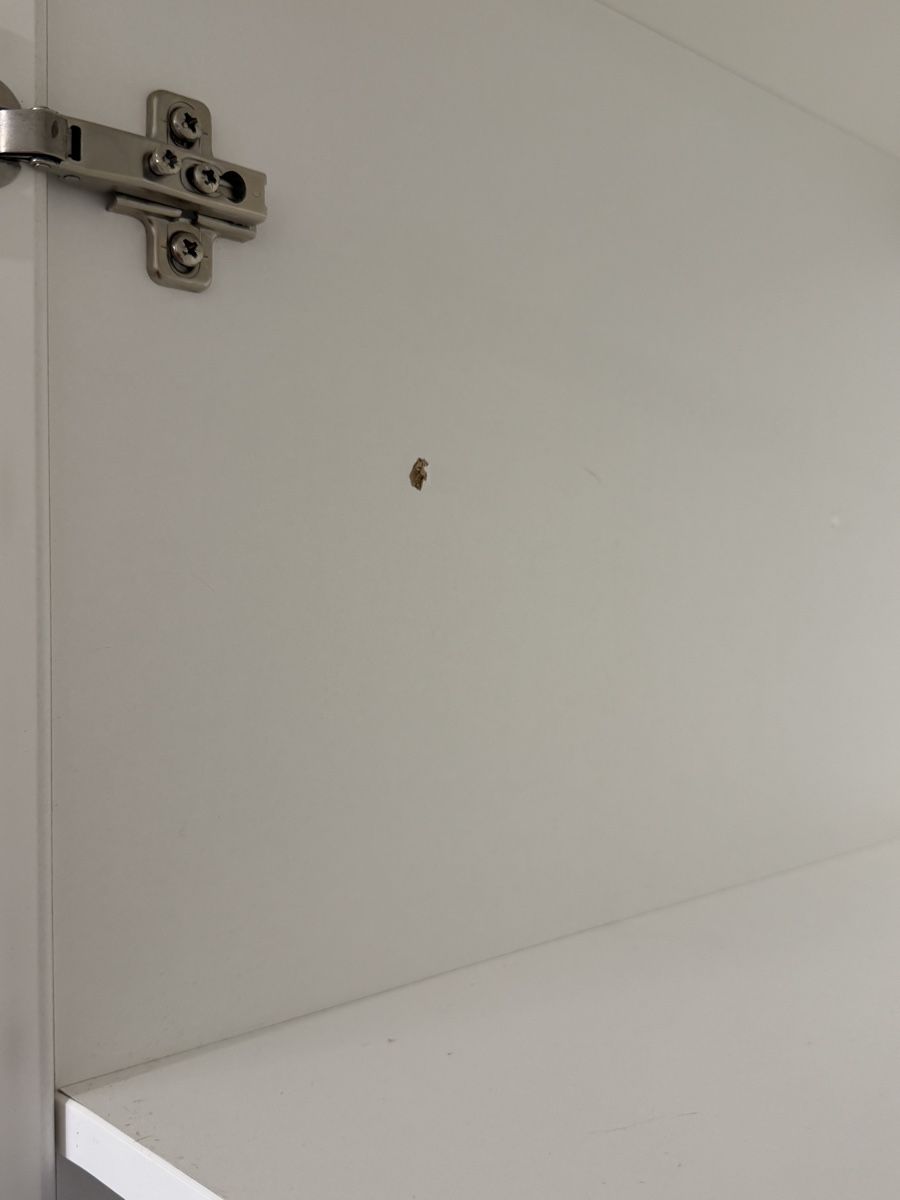 Armadi: Kleiderschrank / Schrank – Usato da Zürich venduto da Rogersite 2