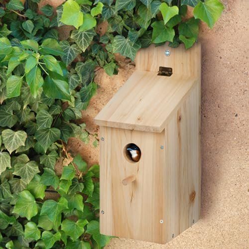 Vogelhäuser: Nistkasten Bausatz 5x17 cm – Neu und originalverpackt aus Hundwil von Stallone5 2