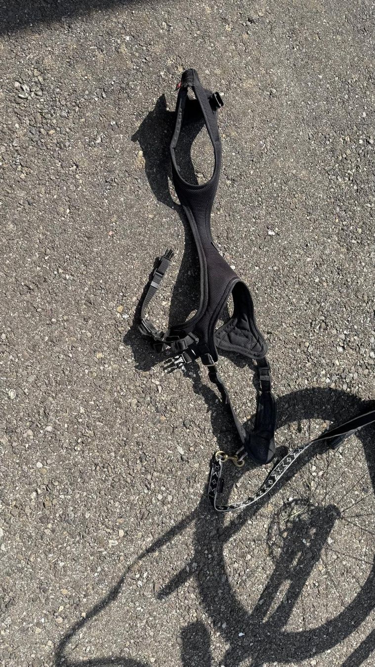 Scooters: KOSTKA MUSHING PRO SCOOTER – Gebraucht aus Schlatt TG von GORE