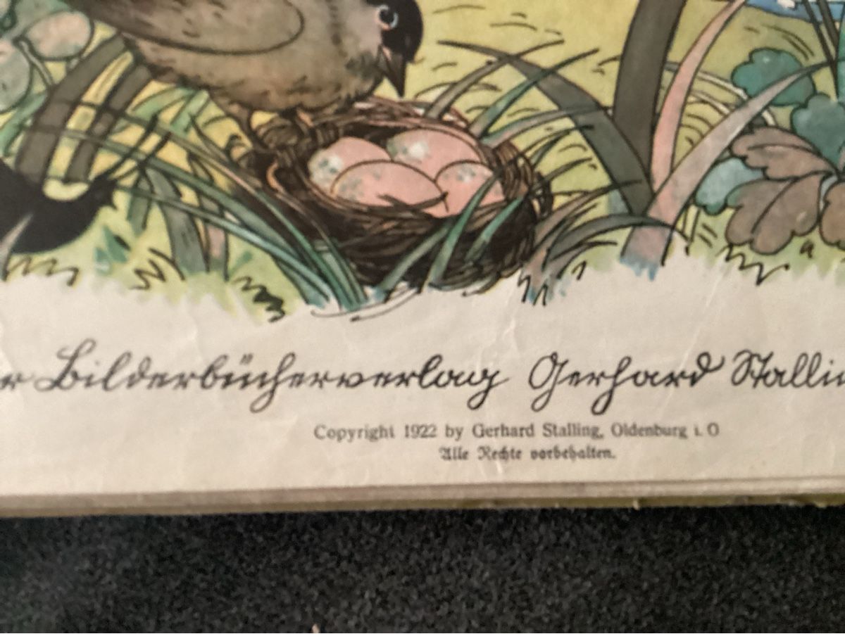 Libri: ANIKES KINDERBUCH 1922 – Usato da Münchenstein venduto da NoSu98 1