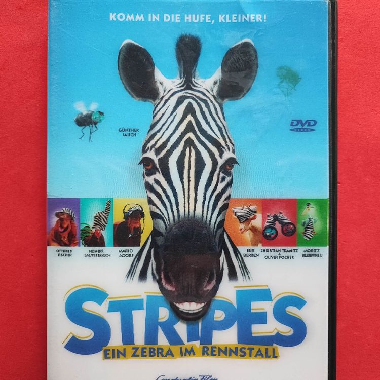 Stripes - Ein Zebra im Rennstall (Gebraucht) in Dübendorf für CHF 2 ...
