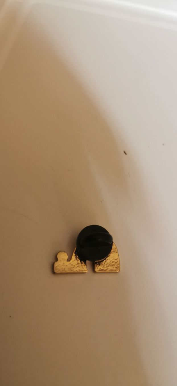 Placchette & Badge: Pin Québec Nordiques  – Usato da Genève venduto da vins50 1