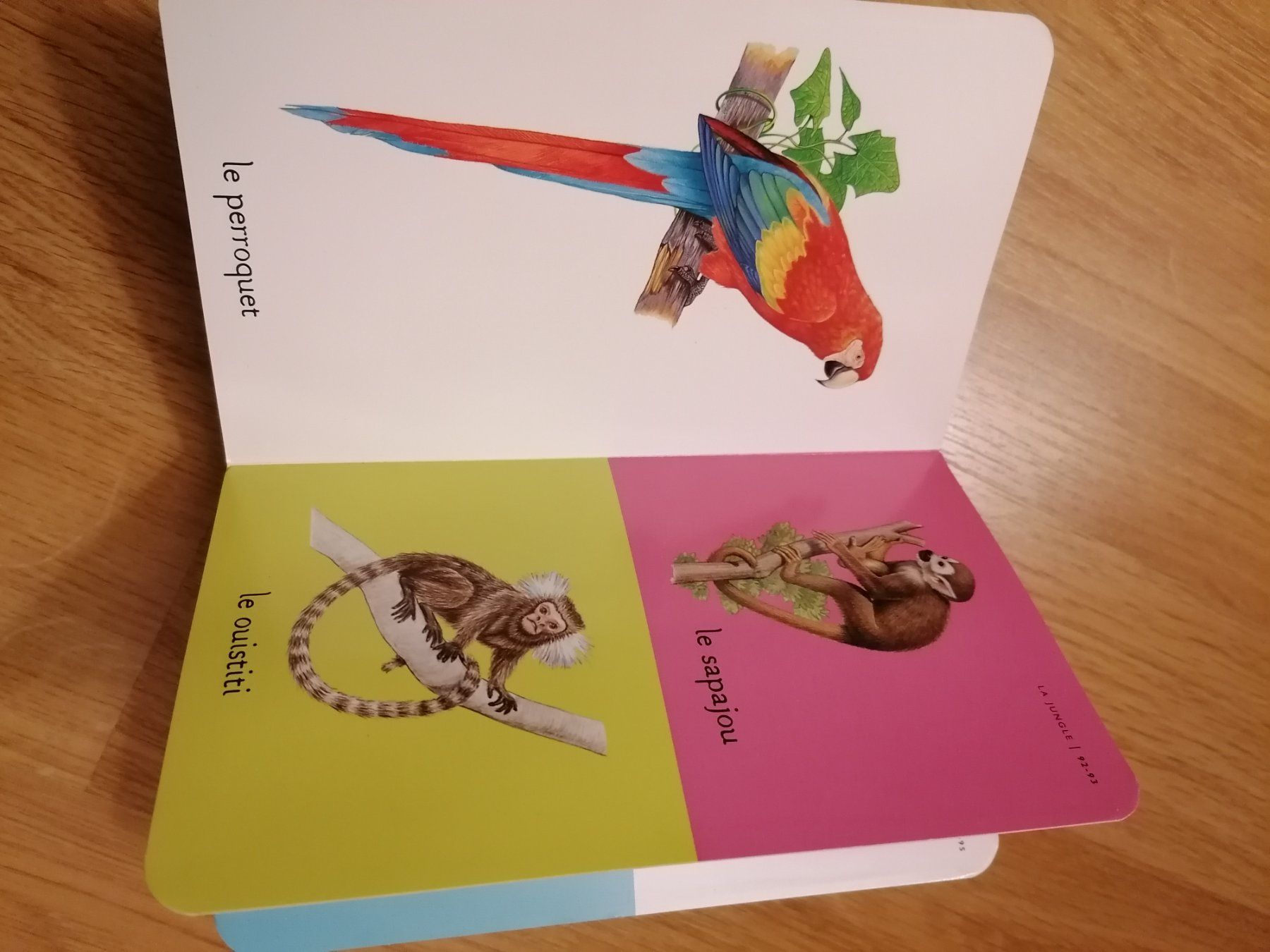 Libri: Livre Mon imagier des animaux – Usato da Büttikon AG venduto da Amineah 3