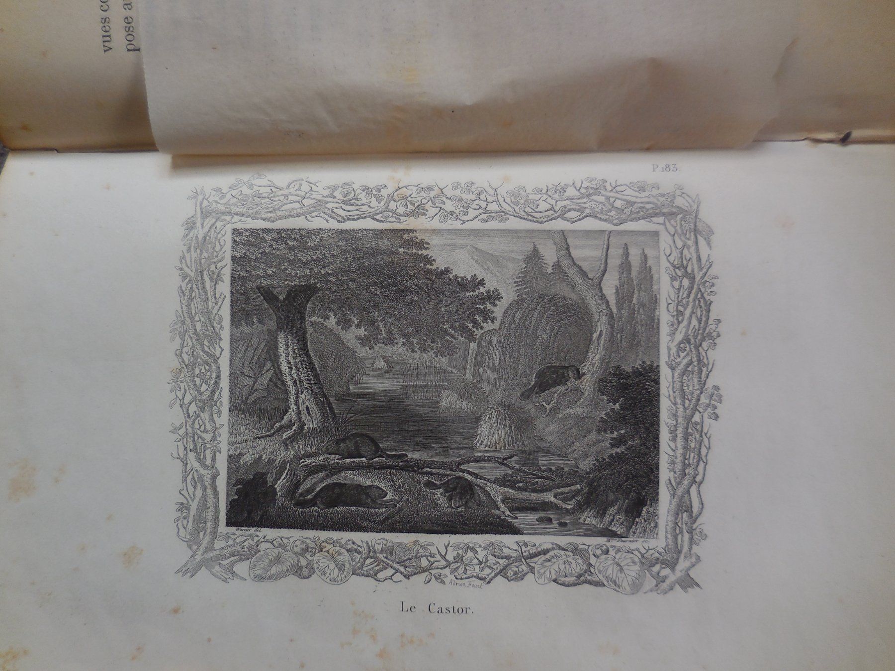 Libri: Oeuvres Choisies de Buffon 1869 – Usato da Meyrin venduto da toutatis 7