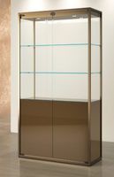 Glasvitrine, ESG Glas, LED, Bronze (B.95cmxT.45cmxH.190cm)