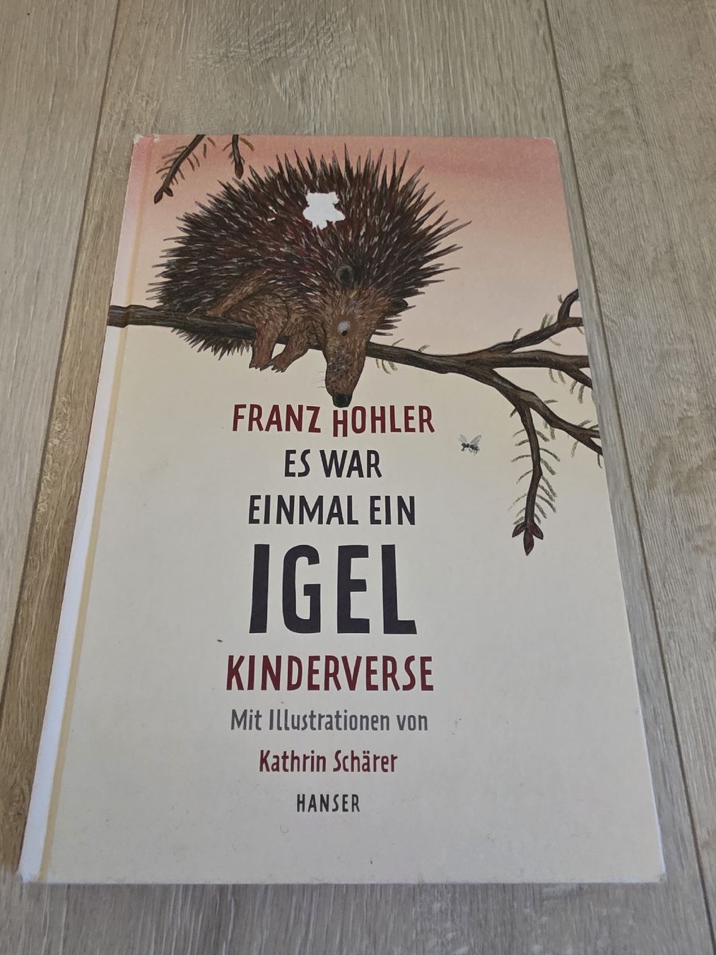 Libri: Kinderbuch Es war einmal ein Igel Franz Hohler – Usato da Wigoltingen venduto da Zuckerfee84