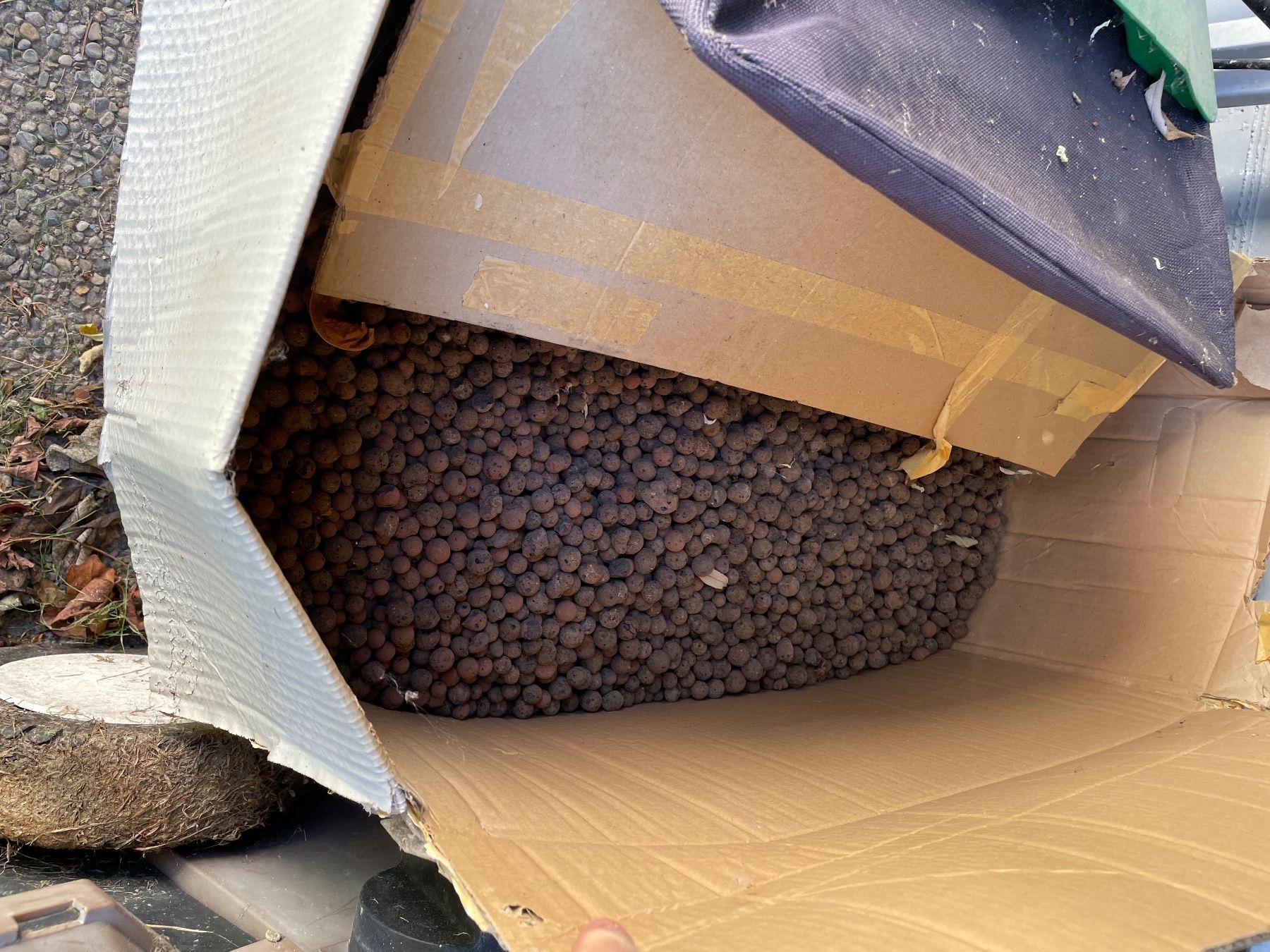 Piante & sementi: Blähton / Hydroton / LECA ca. 100 Liter – Usato da Untereggen venduto da repose