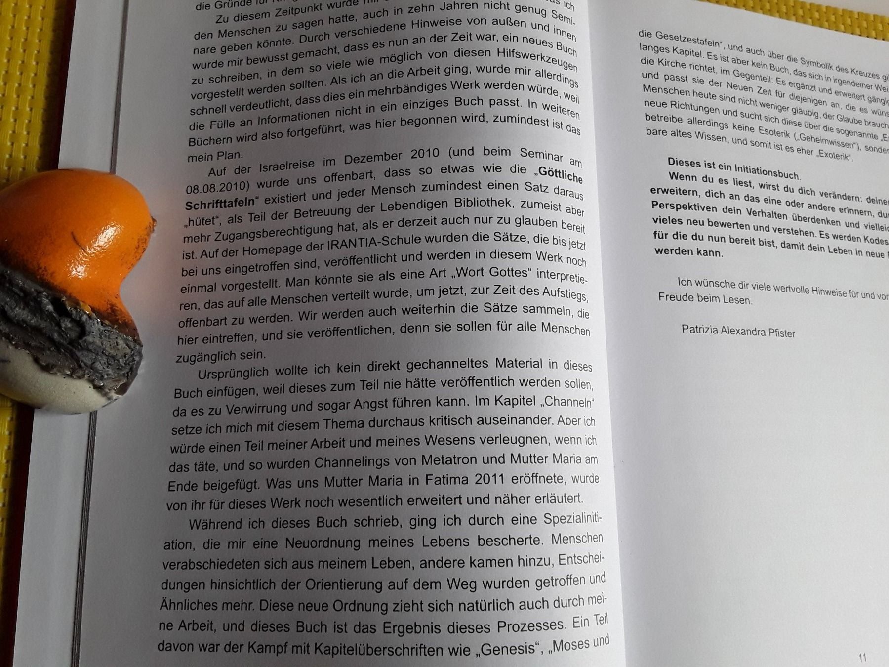 Libri: Die Göttlichen Schrifttafeln – Nuovo (secondo la descrizione) da Rebstein venduto da Buchsi03 7