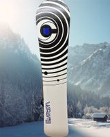 Burton Snowboard