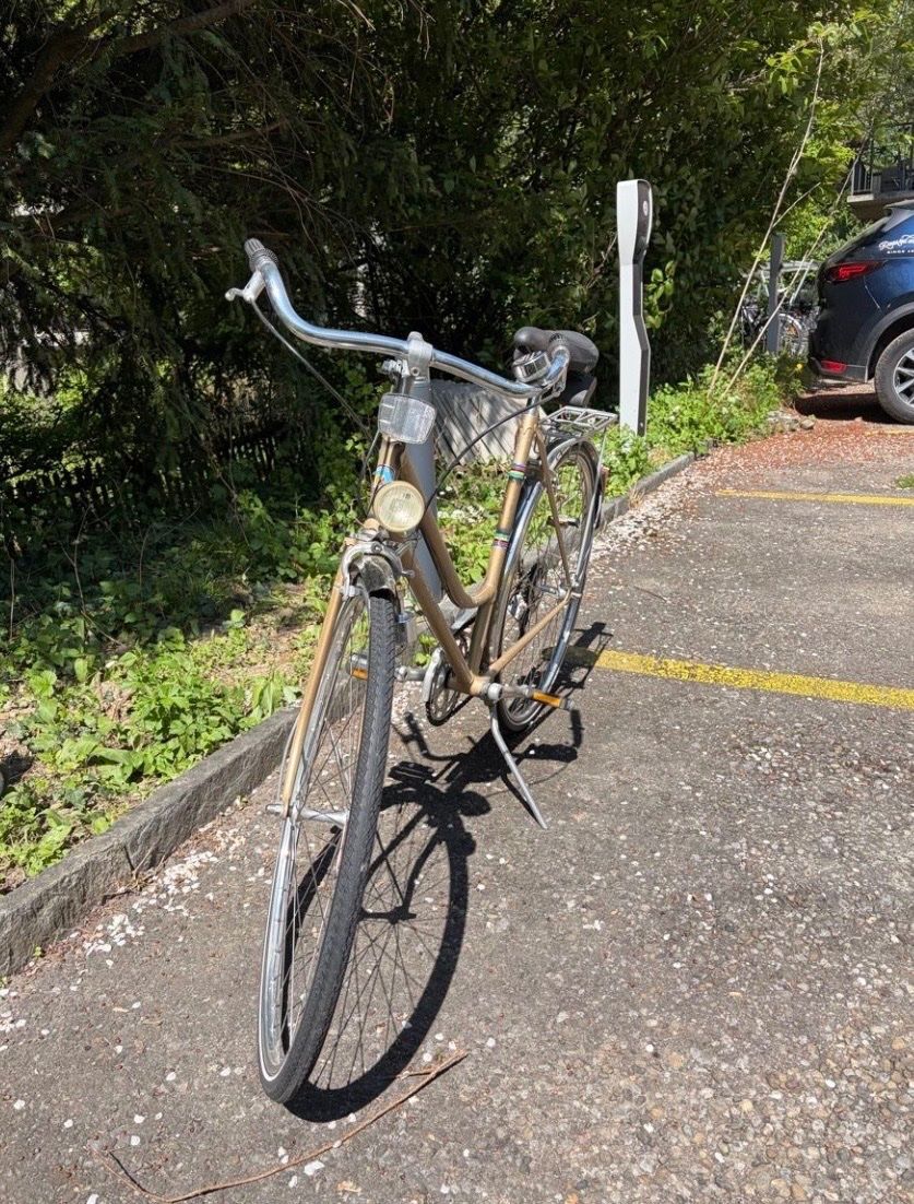 Alpina Biciclette: Vintage Alpina Damenrad – Difettoso da Zürich venduto da sim_z5x5 1
