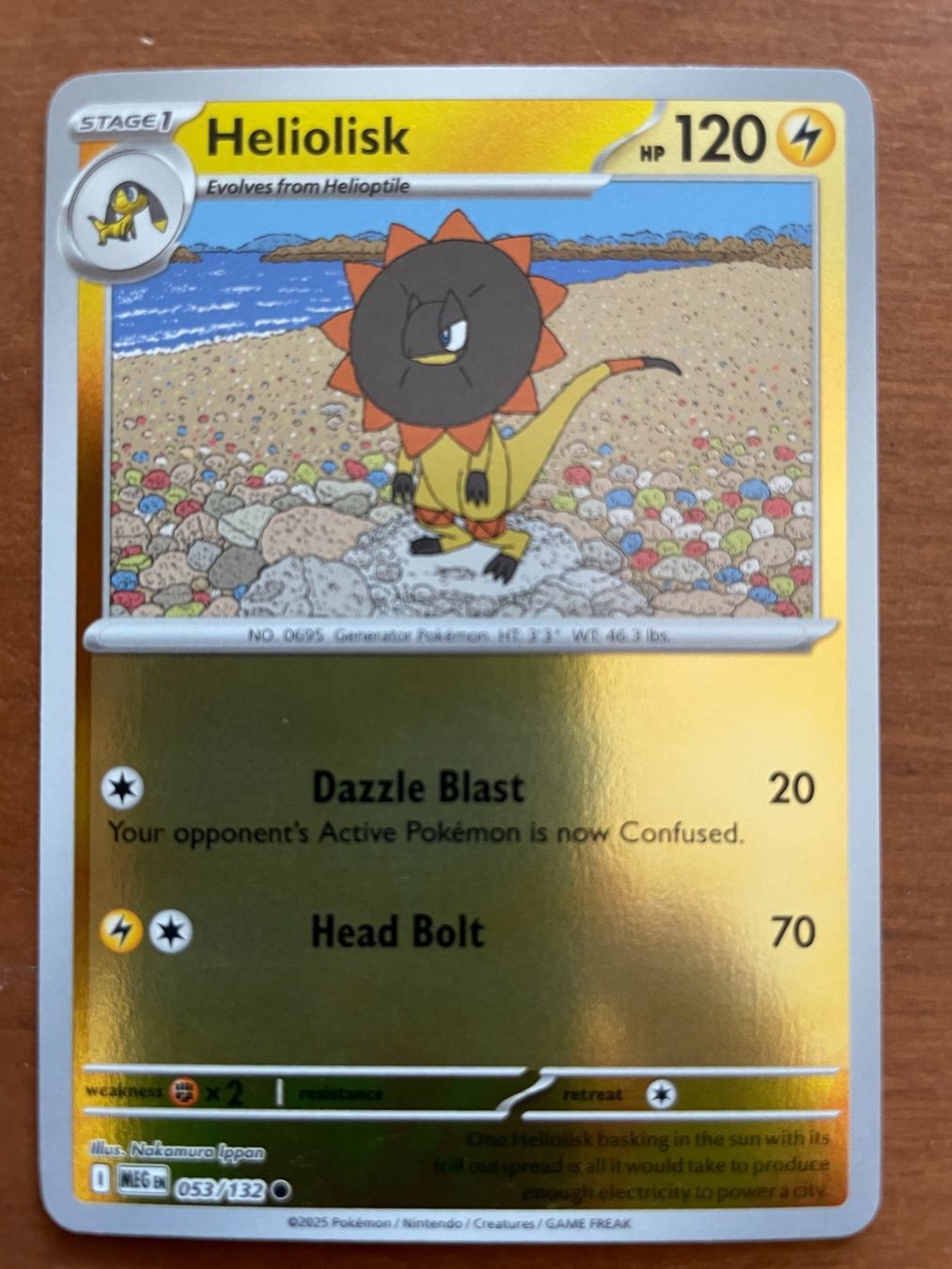 Pokémon Carte collezionabili: Pokemon Heliolisk Reverse (Versand gratis) – Nuovo (secondo la descrizione) da Chur venduto da Angerson