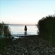 Profile image of Hnot