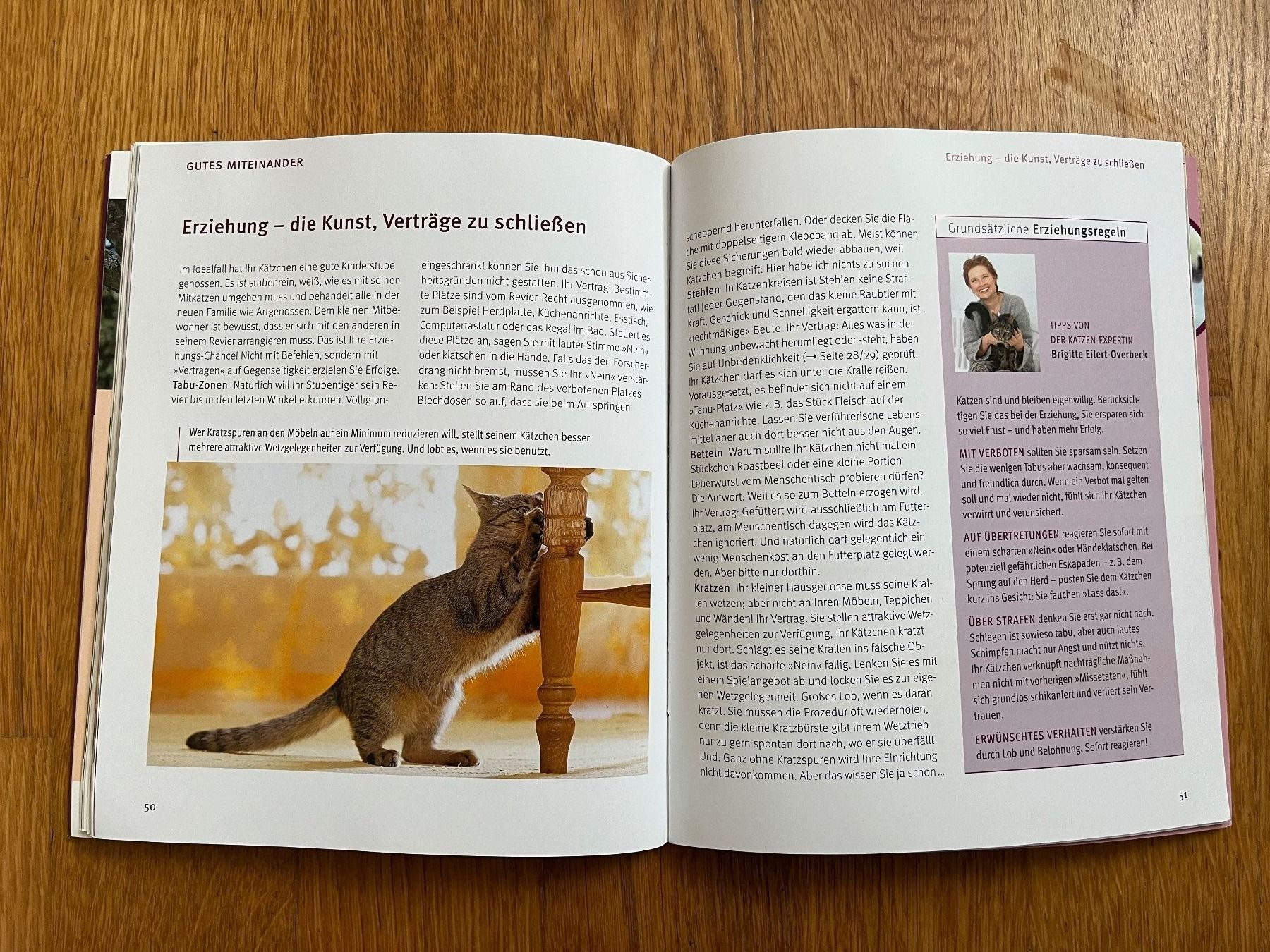 Libri: GU Tierratgeber "Unser Kätzchen" – Usato da Grosswangen venduto da Vita500 3