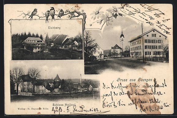 Cartoline postali: Seengen, Schloss Halwil, Eichberg, Stras – Usato da Berlin venduto da bartko-reher