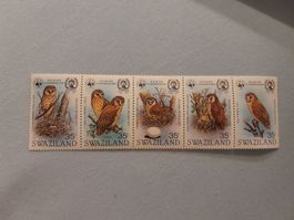 Swaziland WWF Eulen Vögel ** selten