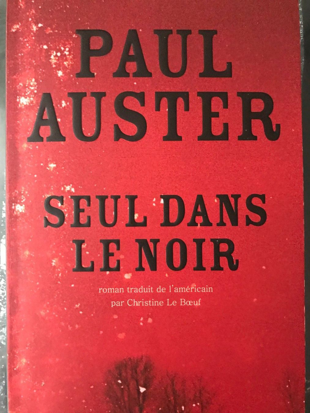 Libri: Seul dans le noir - Paul Auster.  TBE – Usato da Ecublens VD venduto da Largo1