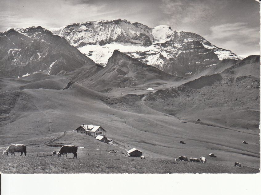 Ansichtskarten: Hahnenmoos-Pass 1968 – Gebraucht aus Bürglen TG von StampGraf