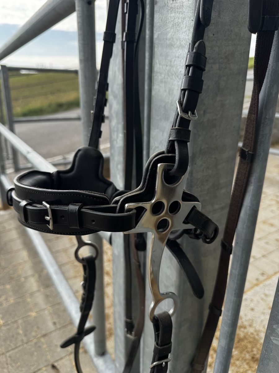 Zaumzeug & Halfter: Hackamore dunkelbraun Waldhausen – Neu (gemäss Beschreibung) aus Oetwil am See von LuniGW 1