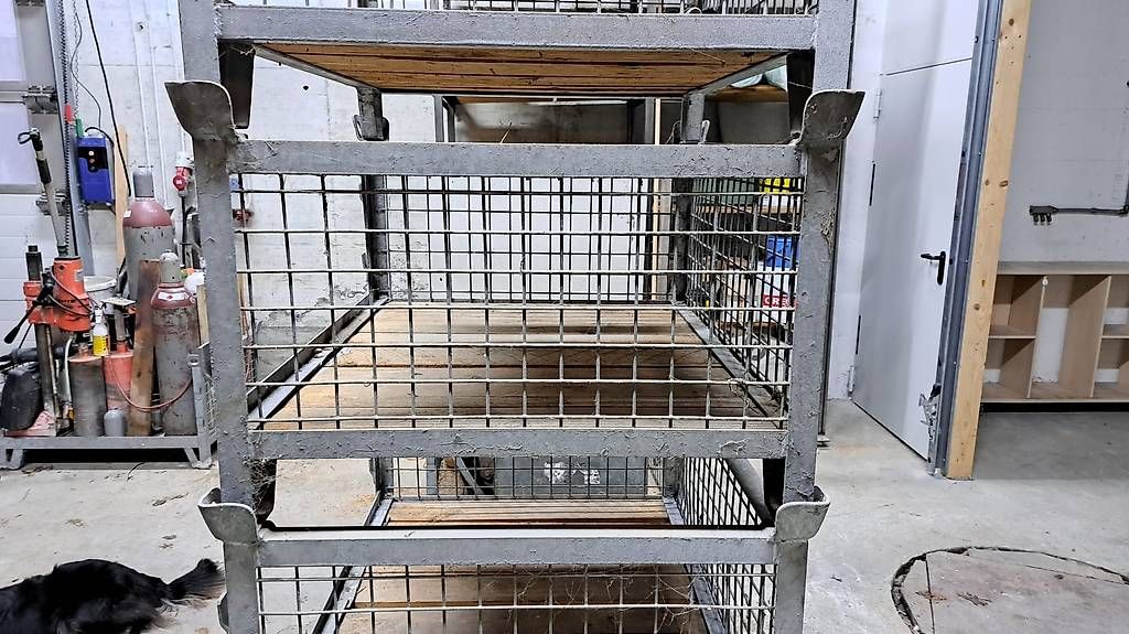 Grilles & Grillages: Gitterboxen  – D'occasion à Walliswil-Nbipp par australien2007 1