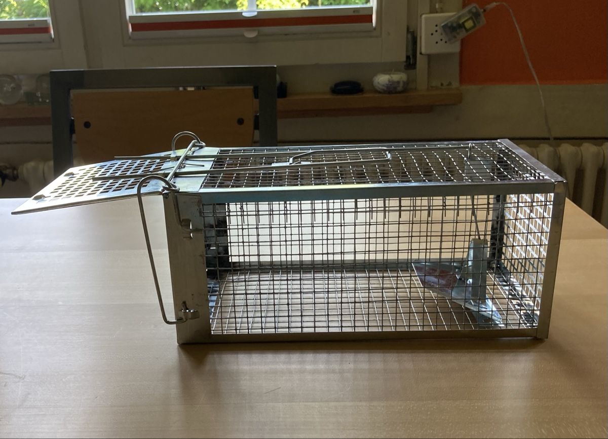 Gabbie, trasporto & Sicurezza: Mäuse und Rattenfalle – Usato da Wädenswil venduto da sayyes 2