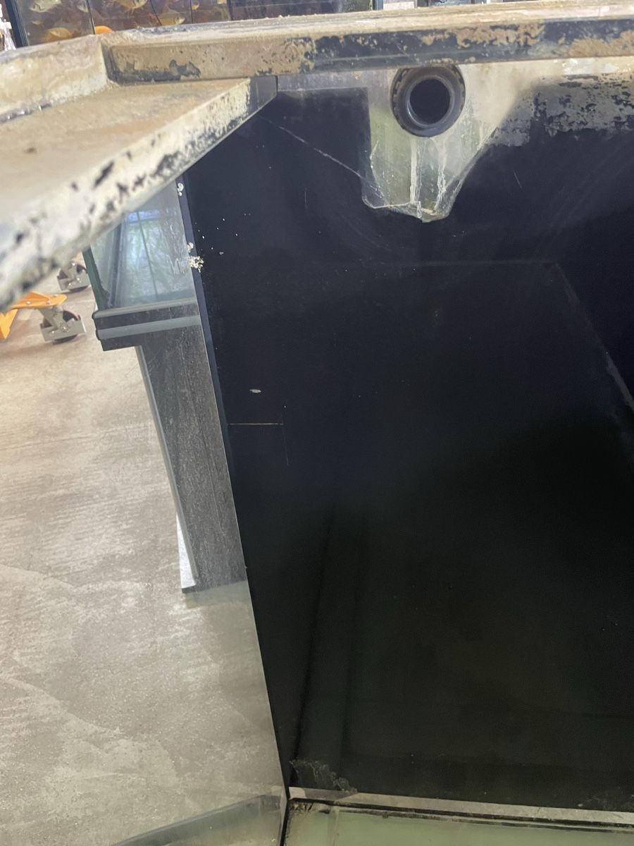 Acquari: 1750l Aquarium 220x80x100 – Usato da Oftringen venduto da Aqualuz 2