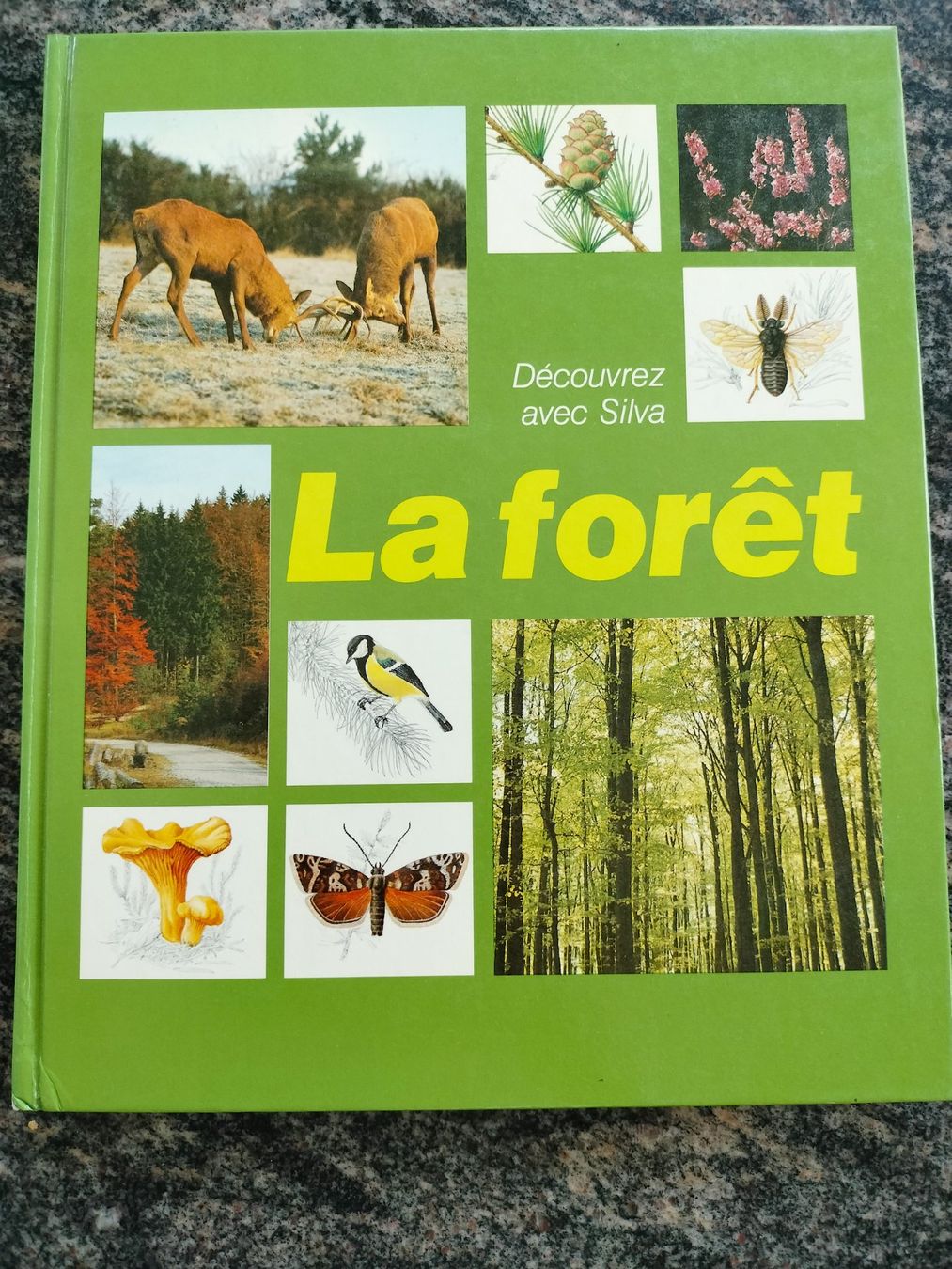 Libri: LA FORÊT Découvrez la forêt avec Silva – Usato da Cortaillod venduto da rozinna