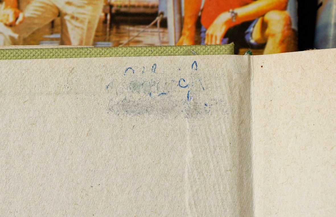 Bücher: 3 Bücher Flipper Auflage 1970 – Gebraucht aus Bern von Maccalvin 1