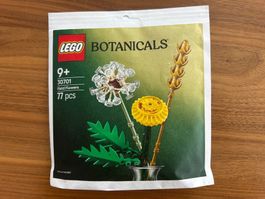 LEGO 30701 Feldblumen / Botanicals - OVP