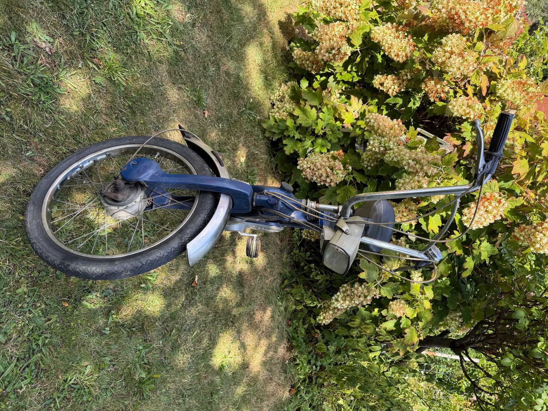 Piaggio Ciclomotori: Mofa Ciao – Usato da Goldach venduto da Flameflower 6