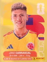 Panini FIFA World Cup COL 16