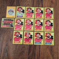 Panini Sammelkarten 2026 Agypten 14 Stk
